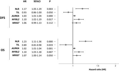 A new prognostic model including immune biomarkers, genomic proliferation tumor markers (AURKA and MYBL2) and clinical-pathological features optimizes prognosis in neoadjuvant breast cancer patients